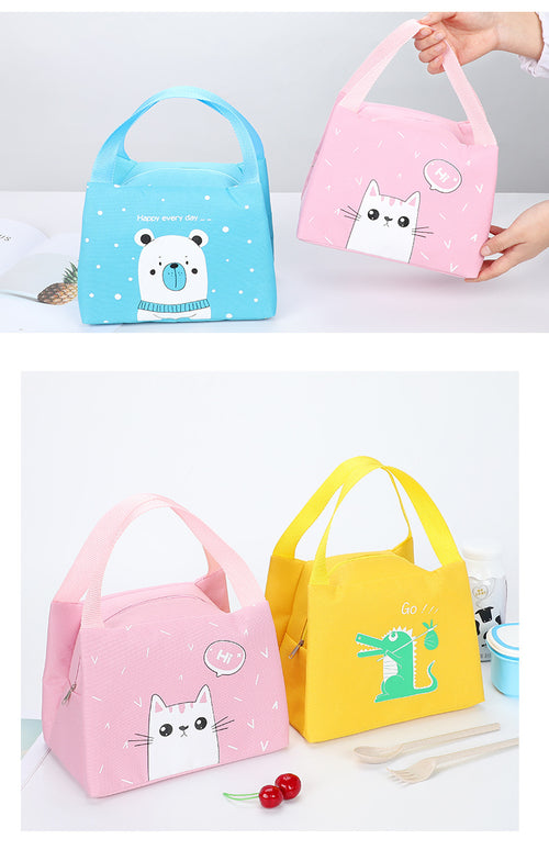 Bulk Thermal Picnic Bag | OEM ODM Food‑Grade Cooler Bags Supplier